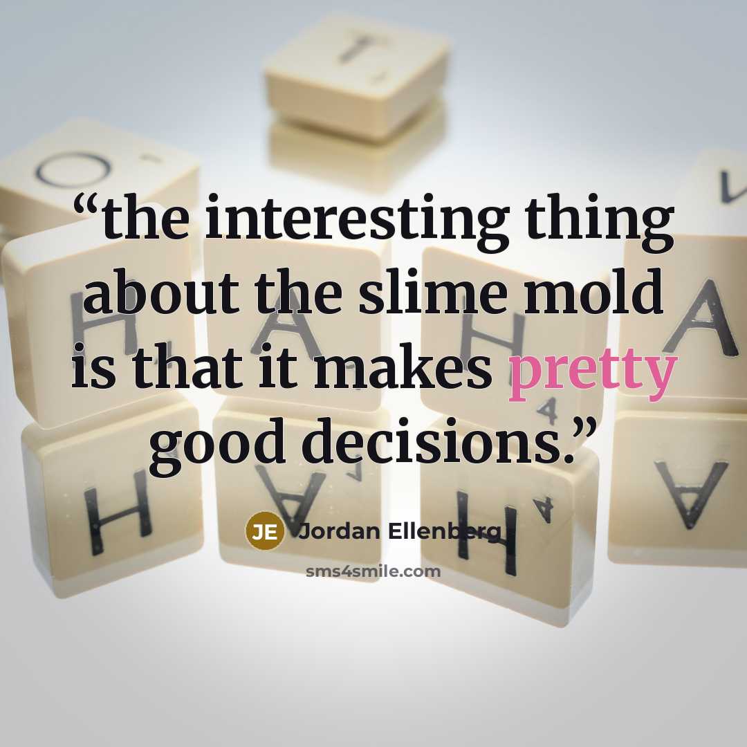 “the interesting thing about the slime mold is that it makes pretty good decisions.” quote by Jordan Ellenberg