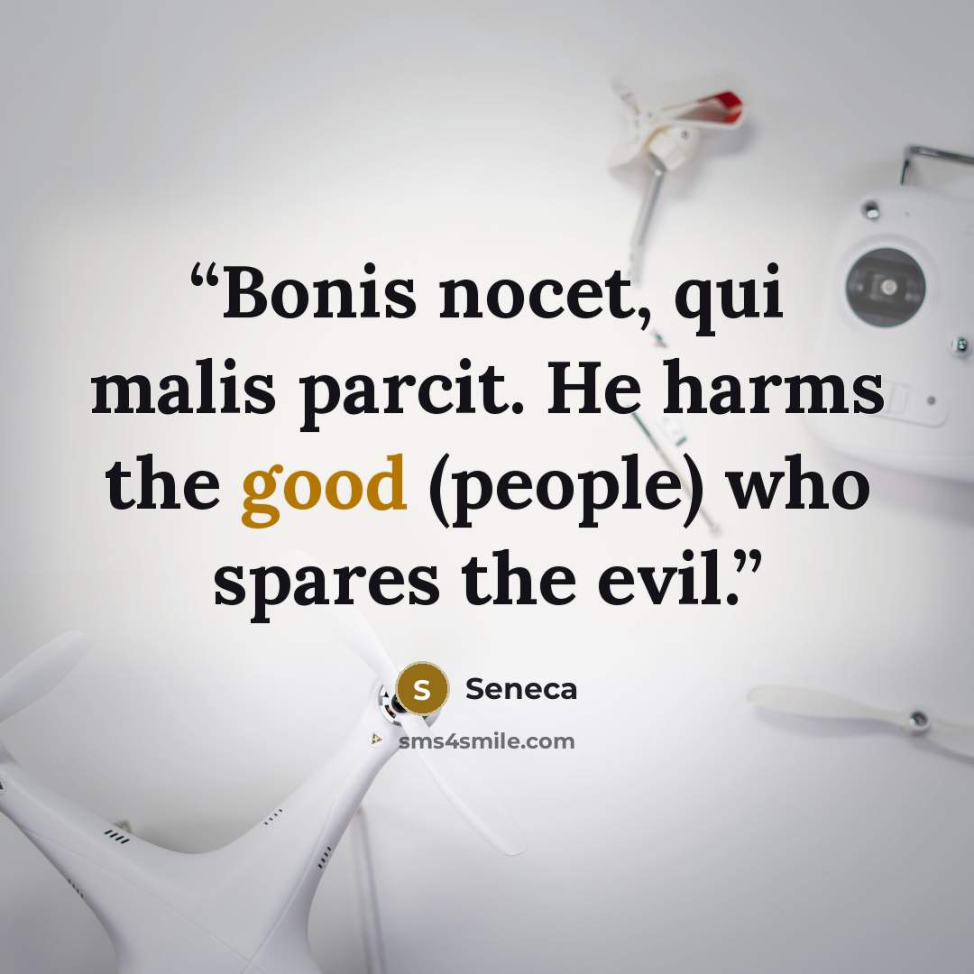 “Bonis nocet, qui malis parcit. He harms the good (people) who spares the evil.” quote by Seneca
