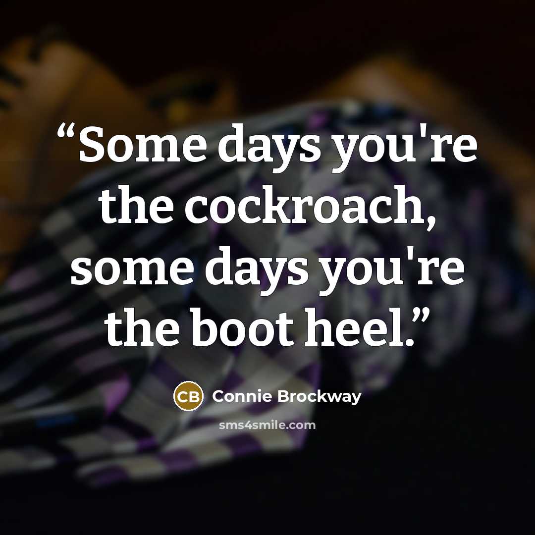 “Some days you're the cockroach, some days you're the boot heel.” quote by Connie Brockway