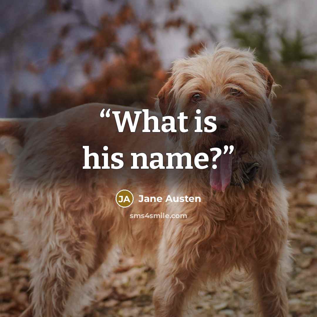 “What is his name?” quote by Jane Austen