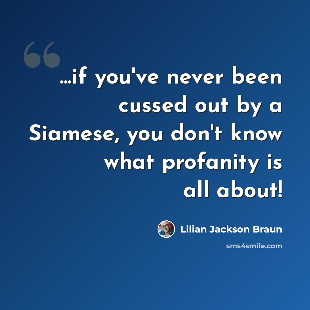 “...if you've never been cussed out by a Siamese, you don't know what profanity is all about!” quote by Lilian Jackson Braun