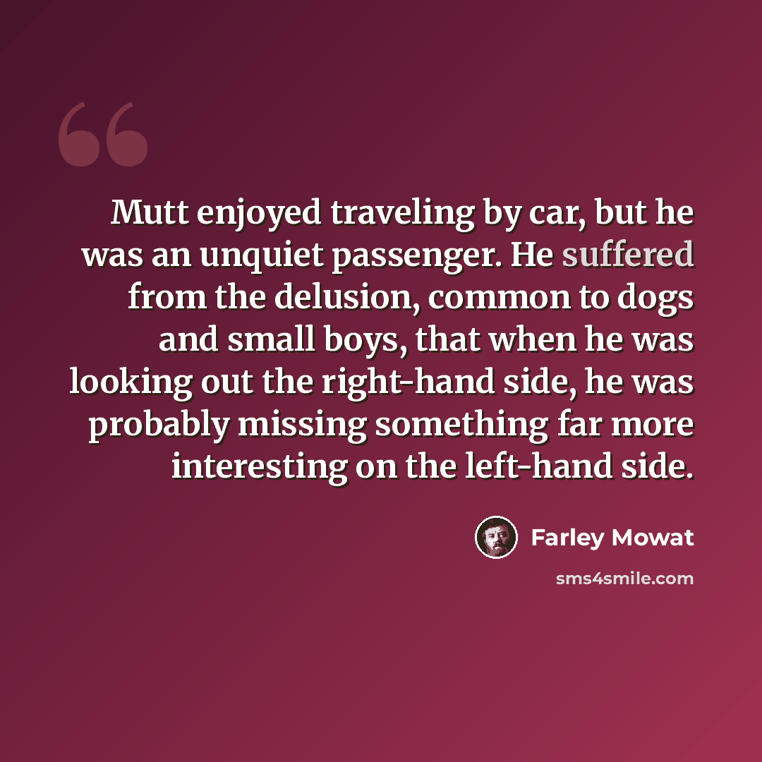“Mutt enjoyed traveling by car, but he was an unquiet passenger. He suffered from the delusion, common to dogs and small boys, that when he was looking out the right-hand side, he was probably missing something far more interesting on the left-hand side.” quote by Farley Mowat
