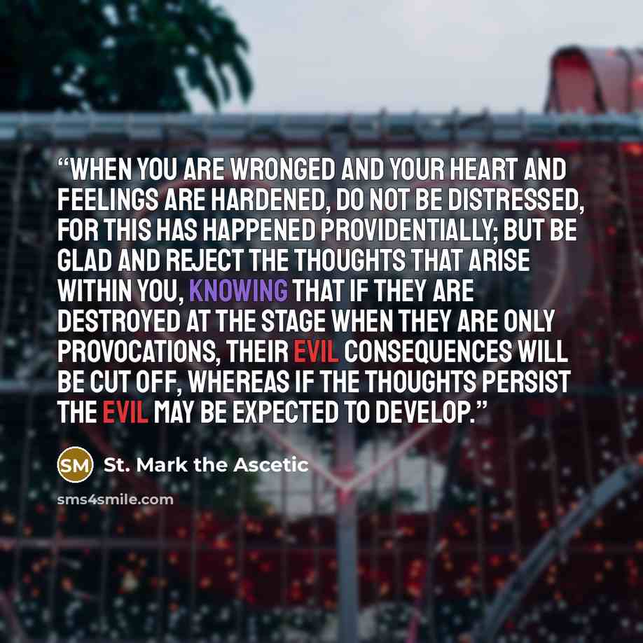 “When you are wronged and your heart and feelings are hardened, do not be distressed, for this has happened providentially; but be glad and reject the thoughts that arise within you, knowing that if they are destroyed at the stage when they are only provocations, their evil consequences will be cut…” quote by St. Mark the Ascetic