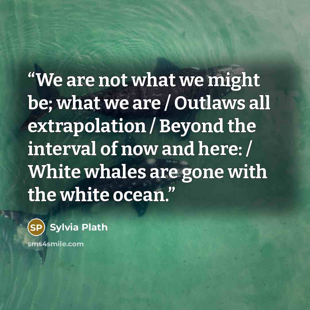 “We are not what we might be; what we are / Outlaws all extrapolation / Beyond the interval of now and here: / White whales are gone with the white ocean.” quote by Sylvia Plath
