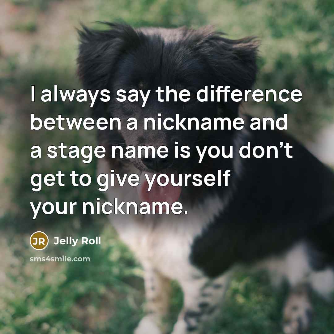 “I always say the difference between a nickname and a stage name is you don't get to give yourself your nickname.” quote by Jelly Roll