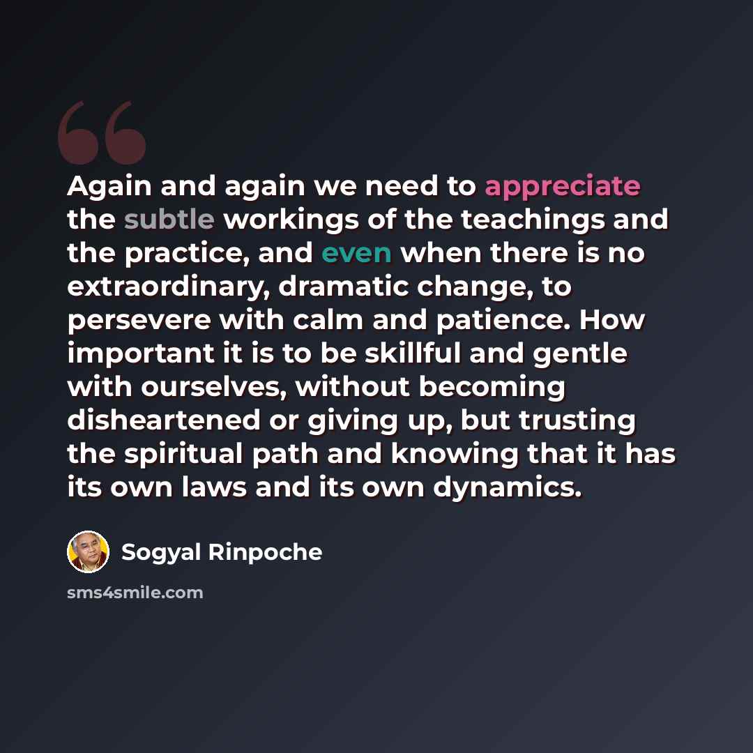 “Again and again we need to appreciate the subtle workings of the teachings and the practice, and even when there is no extraordinary, dramatic change, to persevere with calm and patience. How important it is to be skillful and gentle with ourselves, without becoming disheartened or giving up, but…” quote by Sogyal Rinpoche