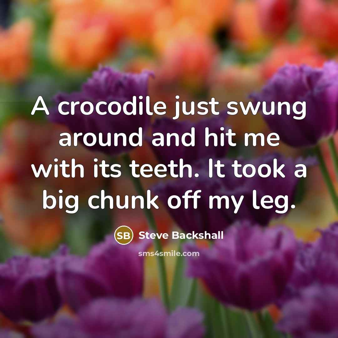 “A crocodile just swung around and hit me with its teeth. It took a big chunk off my leg.” quote by Steve Backshall