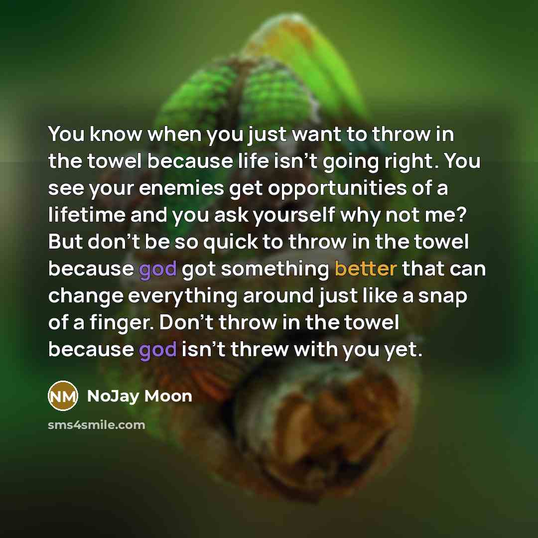 “You know when you just want to throw in the towel because life isn't going right. You see your enemies get opportunities of a lifetime and you ask yourself why not me? But don't be so quick to throw in the towel because god got something better that can change everything around just like a snap of…” quote by NoJay Moon