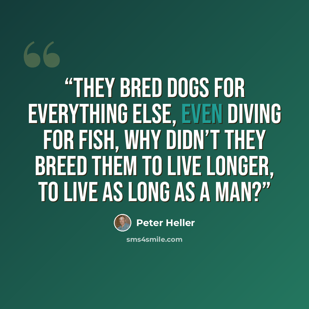 “They bred dogs for everything else, even diving for fish, why didn’t they breed them to live longer, to live as long as a man?” quote by Peter Heller