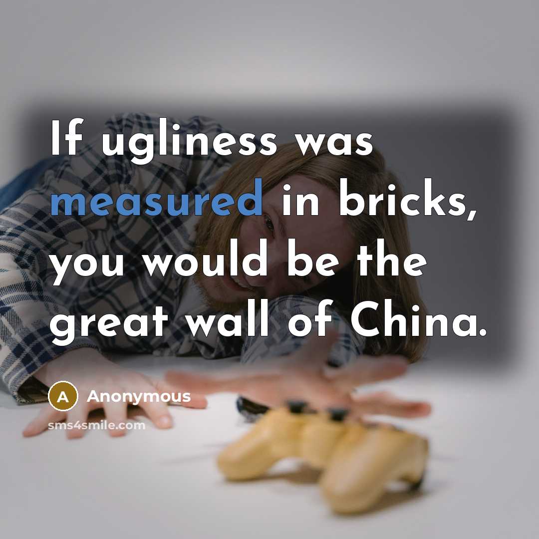 “If ugliness was measured in bricks, you would be the great wall of China.” quote by Anonymous