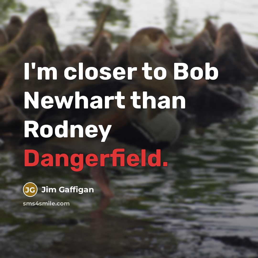 “I'm closer to Bob Newhart than Rodney Dangerfield.” quote by Jim Gaffigan