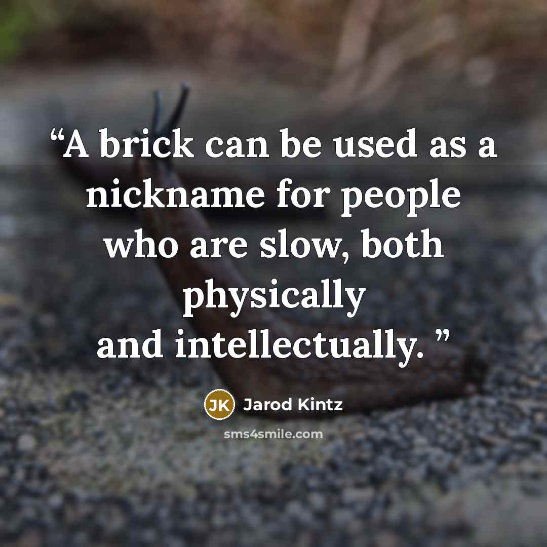 “A brick can be used as a nickname for people who are slow, both physically and intellectually.” quote by Jarod Kintz