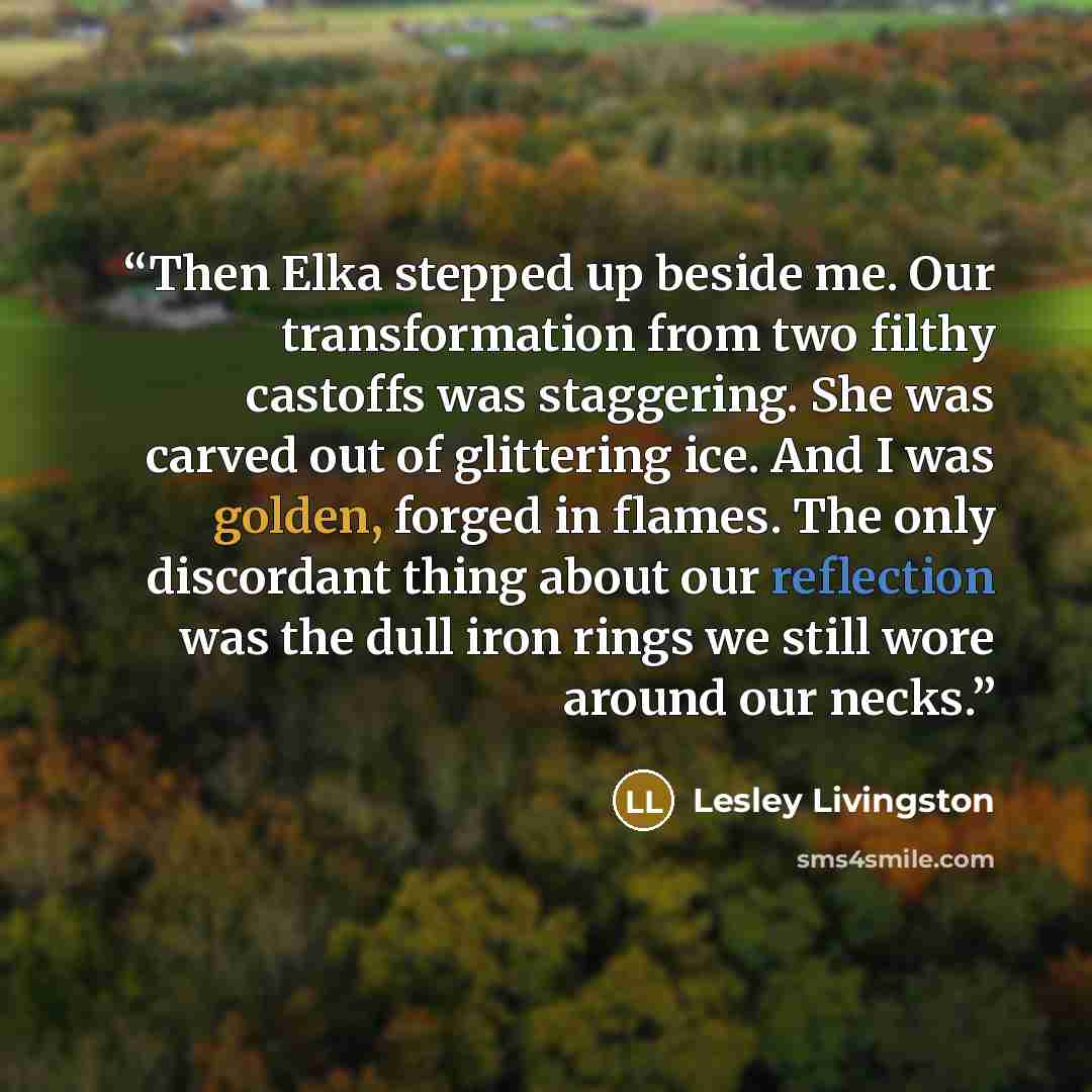 “Then Elka stepped up beside me. Our transformation from two filthy castoffs was staggering. She was carved out of glittering ice. And I was golden, forged in flames. The only discordant thing about our reflection was the dull iron rings we still wore around our necks.” quote by Lesley Livingston