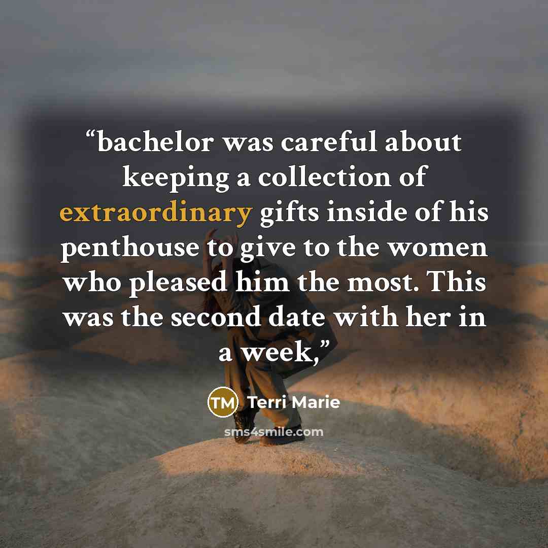 “bachelor was careful about keeping a collection of extraordinary gifts inside of his penthouse to give to the women who pleased him the most. This was the second date with her in a week,” quote by Terri Marie