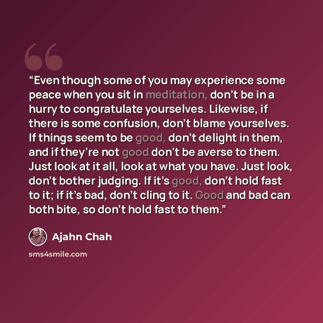 “Even though some of you may experience some peace when you sit in meditation, don’t be in a hurry to congratulate yourselves. Likewise, if there is some confusion, don’t blame yourselves. If things seem to be good, don’t delight in them, and if they’re not good don’t be averse to them. Just look…” quote by Ajahn Chah