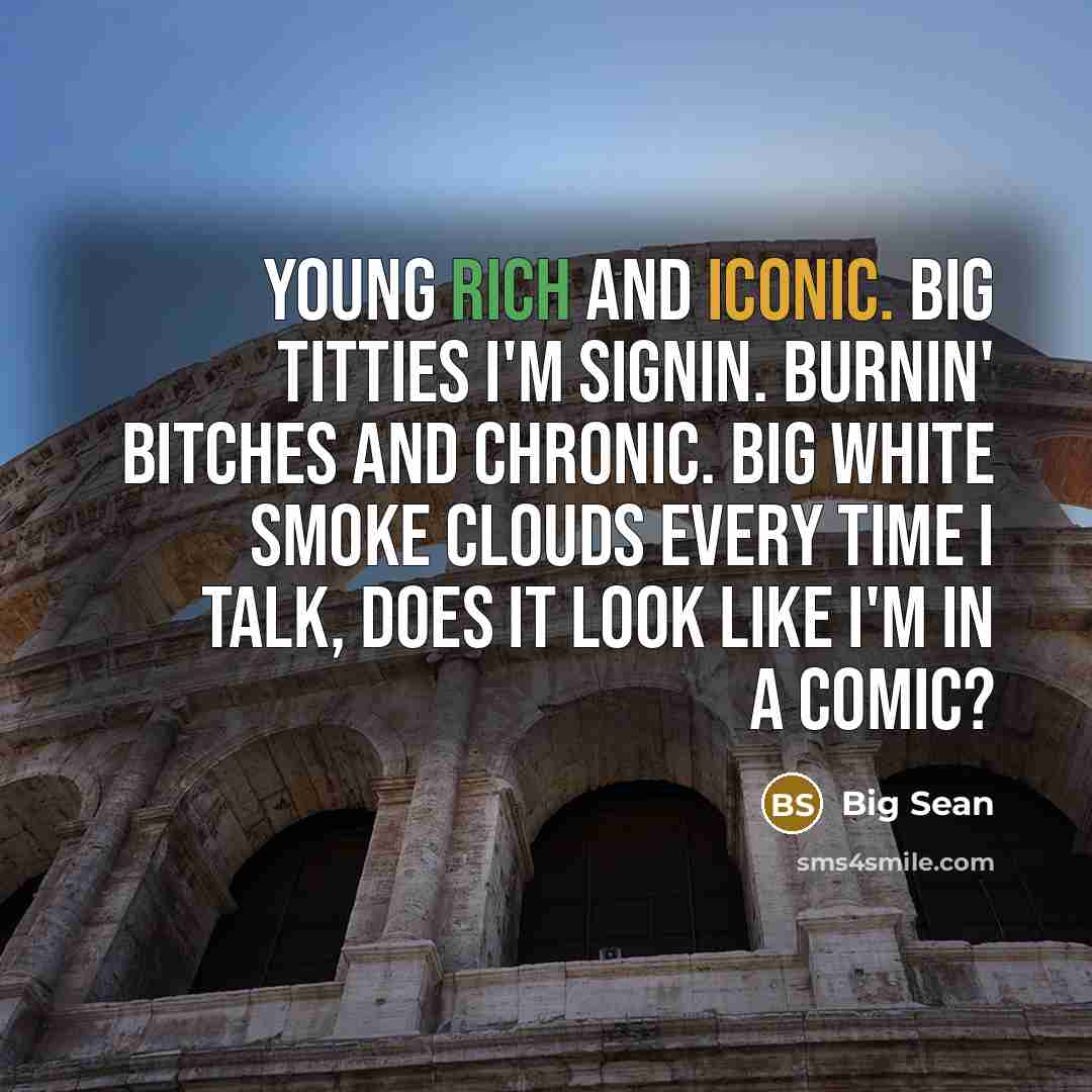 “Young rich and iconic. Big titties I'm signin. Burnin' bitches and chronic. Big white smoke clouds every time I talk, does it look like I'm in a comic?” quote by Big Sean