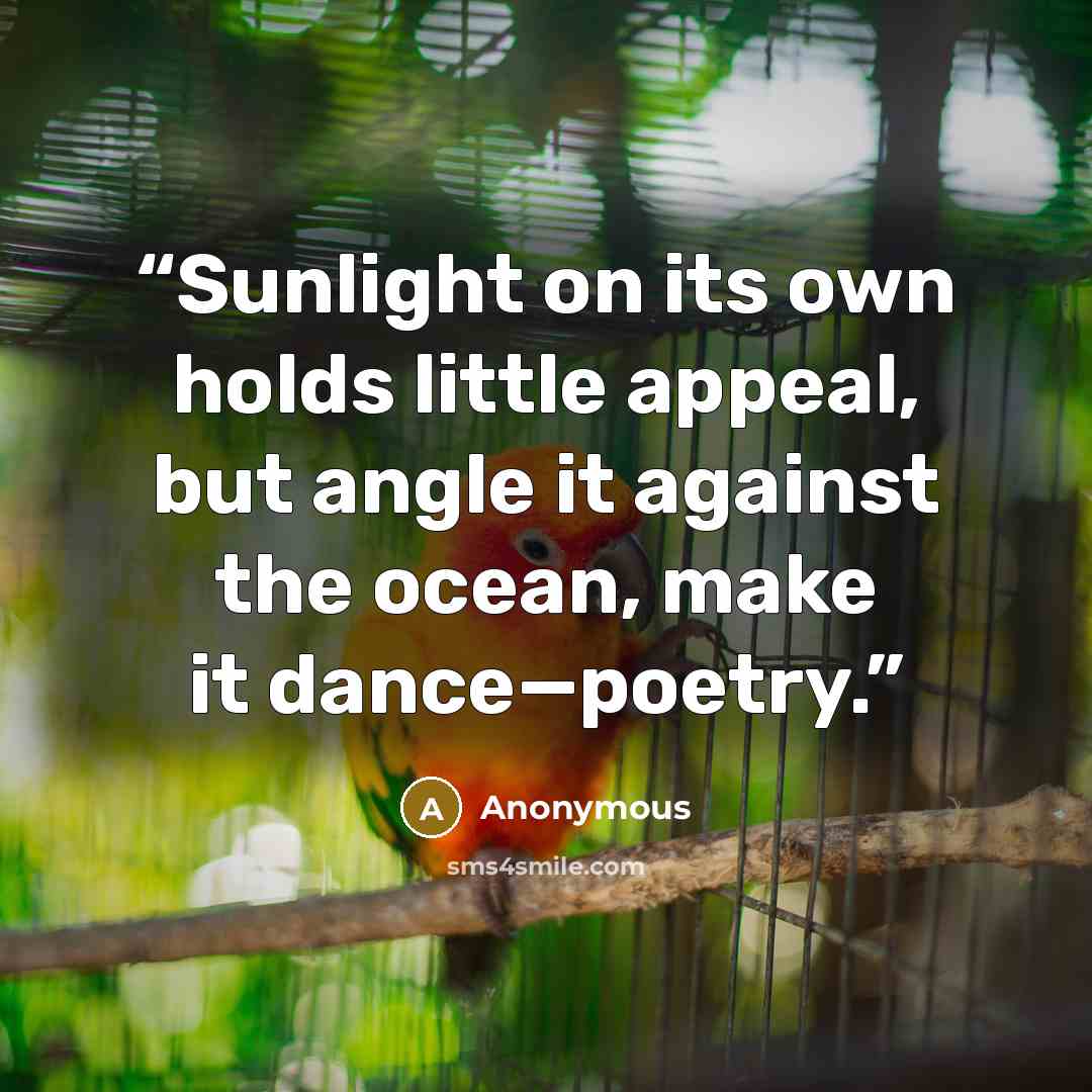 “Sunlight on its own holds little appeal, but angle it against the ocean, make it dance—poetry.” quote by Anonymous