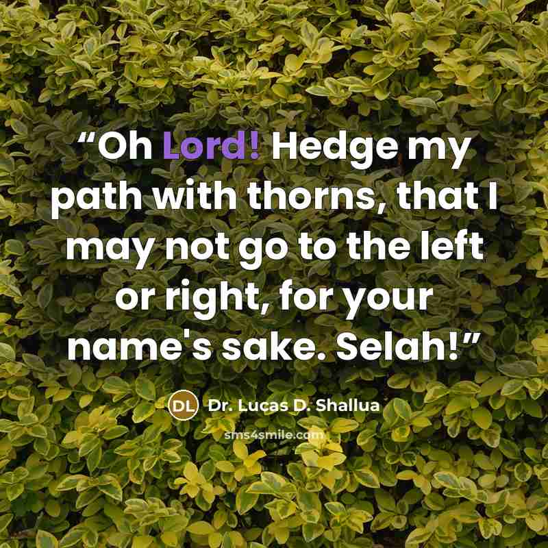 “Oh Lord! Hedge my path with thorns, that I may not go to the left or right, for your name's sake. Selah!” quote by Dr. Lucas D. Shallua