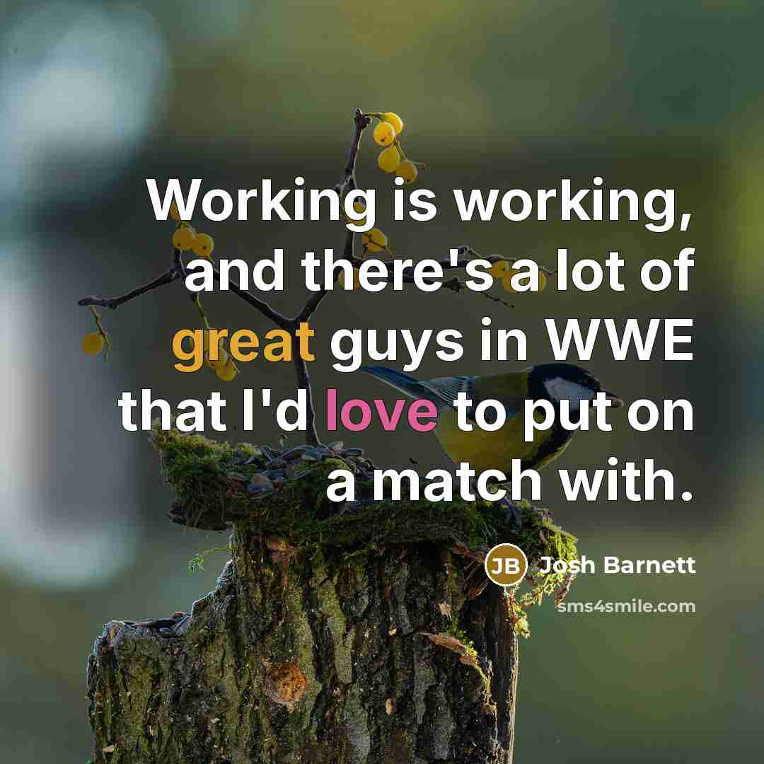 “Working is working, and there's a lot of great guys in WWE that I'd love to put on a match with.” quote by Josh Barnett