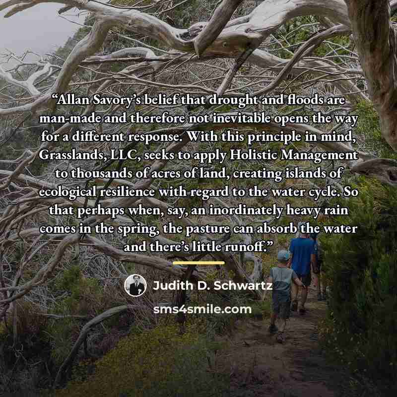 “Allan Savory’s belief that drought and floods are man-made and therefore not inevitable opens the way for a different response. With this principle in mind, Grasslands, LLC, seeks to apply Holistic Management to thousands of acres of land, creating islands of ecological resilience with regard to…” quote by Judith D. Schwartz