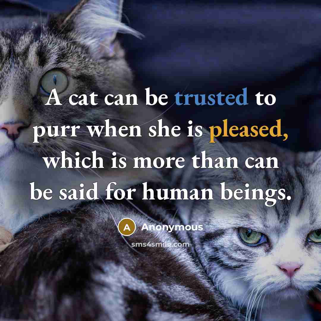 “A cat can be trusted to purr when she is pleased, which is more than can be said for human beings.” quote by Anonymous