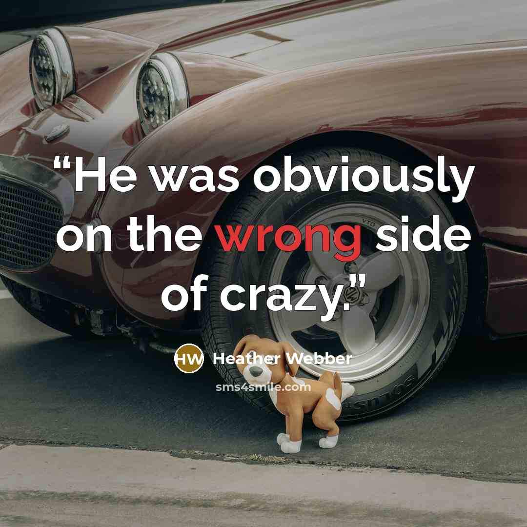 “He was obviously on the wrong side of crazy.” quote by Heather Webber