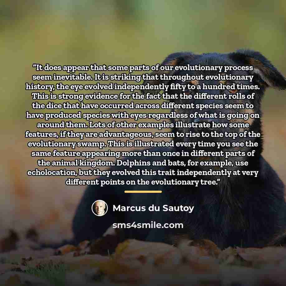 “It does appear that some parts of our evolutionary process seem inevitable. It is striking that throughout evolutionary history, the eye evolved independently fifty to a hundred times. This is strong evidence for the fact that the different rolls of the dice that have occurred across different…” quote by Marcus du Sautoy