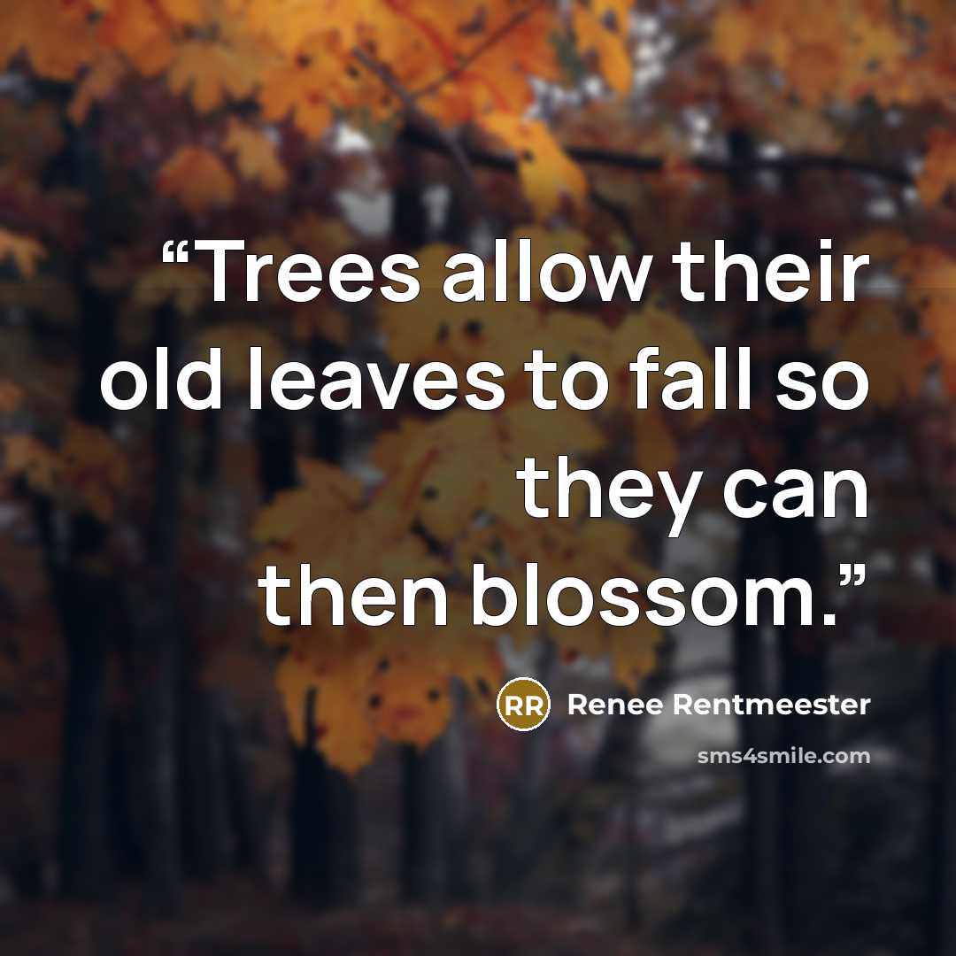 “Trees allow their old leaves to fall so they can then blossom.” quote by Renee Rentmeester