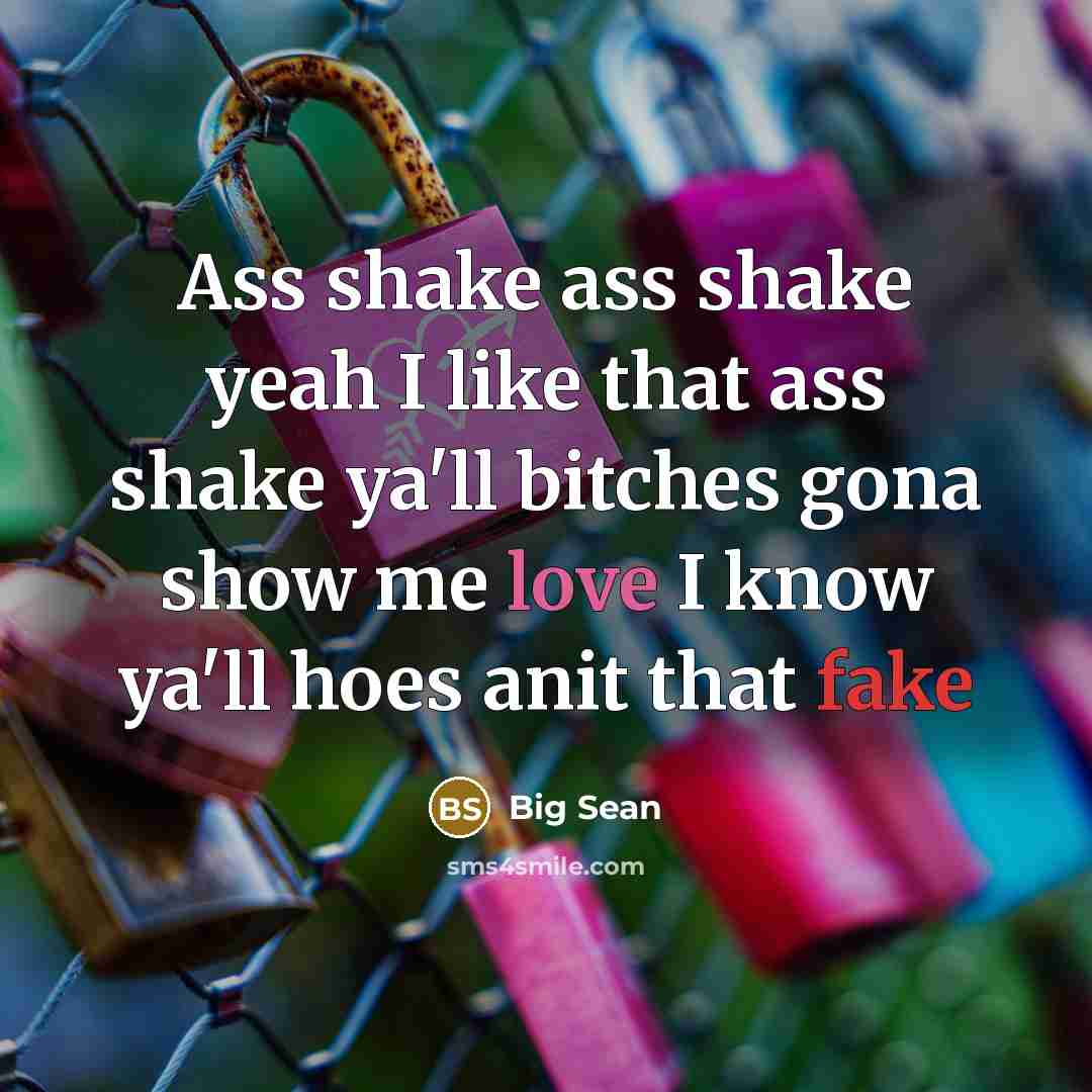 “Ass shake ass shake yeah I like that ass shake ya'll bitches gona show me love I know ya'll hoes anit that fake” quote by Big Sean
