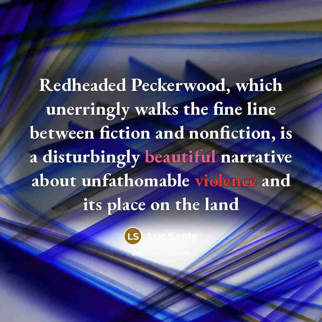 “Redheaded Peckerwood, which unerringly walks the fine line between fiction and nonfiction, is a disturbingly beautiful narrative about unfathomable violence and its place on the land” quote by Luc Sante