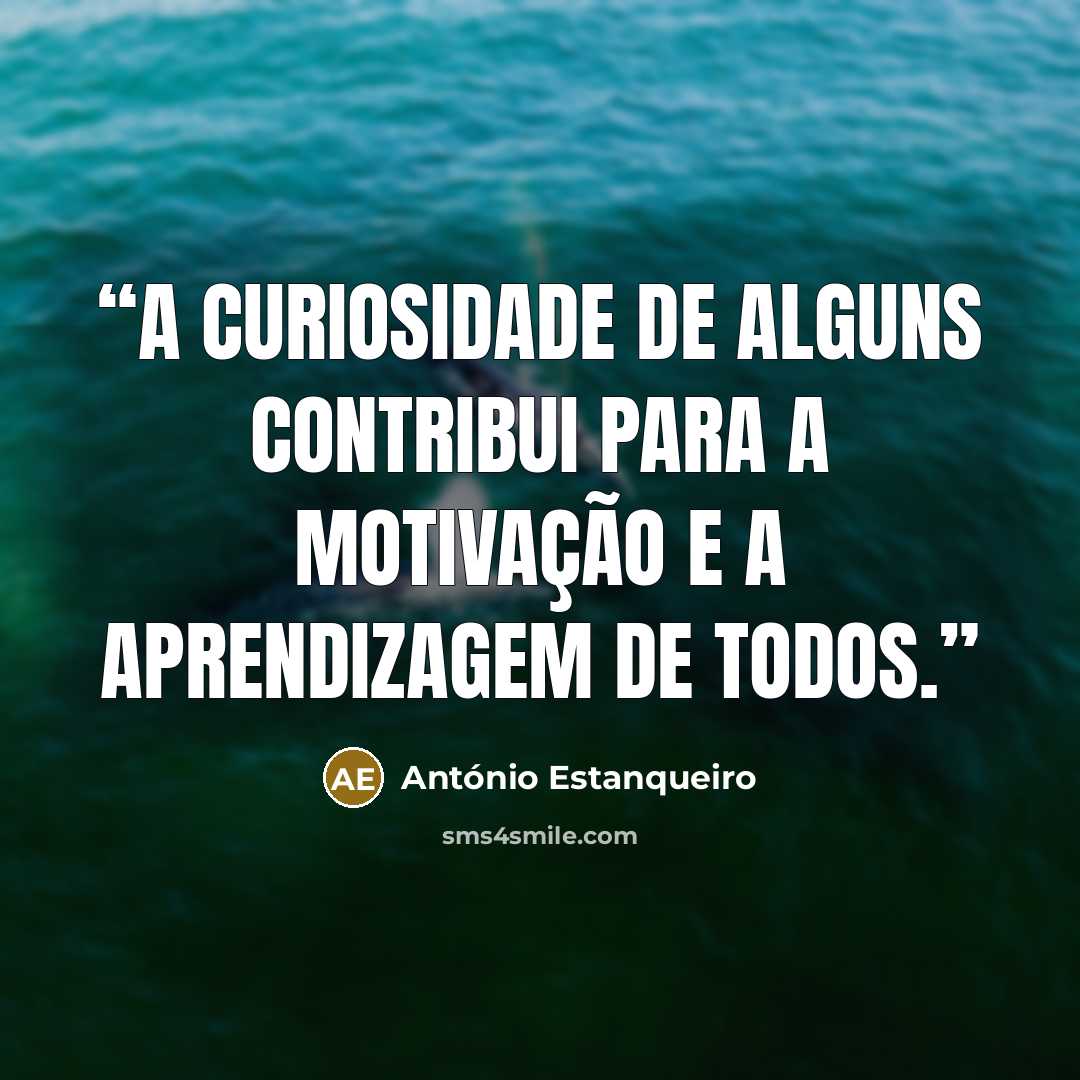 “A curiosidade de alguns contribui para a motivação e a aprendizagem de todos.” quote by António Estanqueiro
