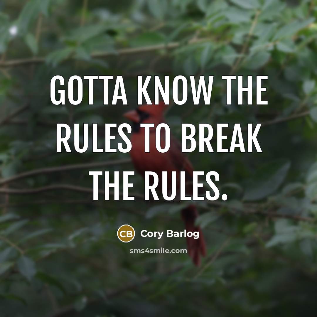 “Gotta know the rules to break the rules.” quote by Cory Barlog