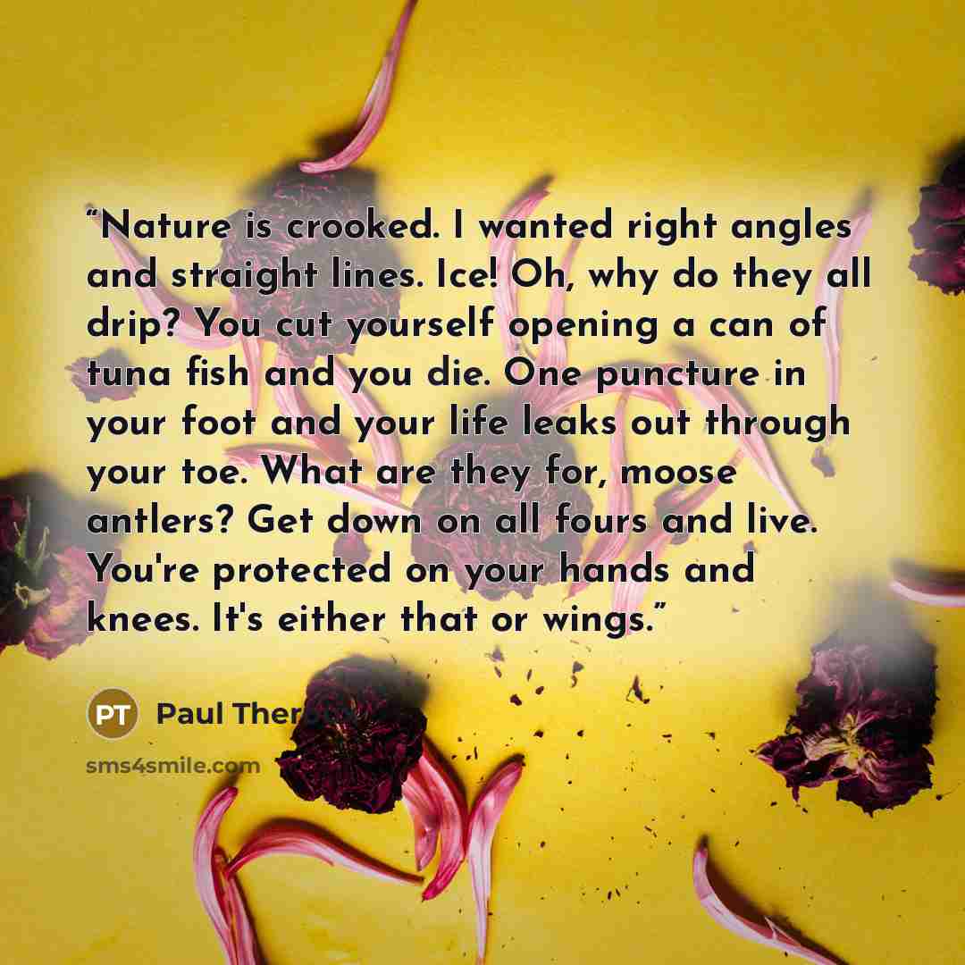 “Nature is crooked. I wanted right angles and straight lines. Ice! Oh, why do they all drip? You cut yourself opening a can of tuna fish and you die. One puncture in your foot and your life leaks out through your toe. What are they for, moose antlers? Get down on all fours and live. You're…” quote by Paul Theroux