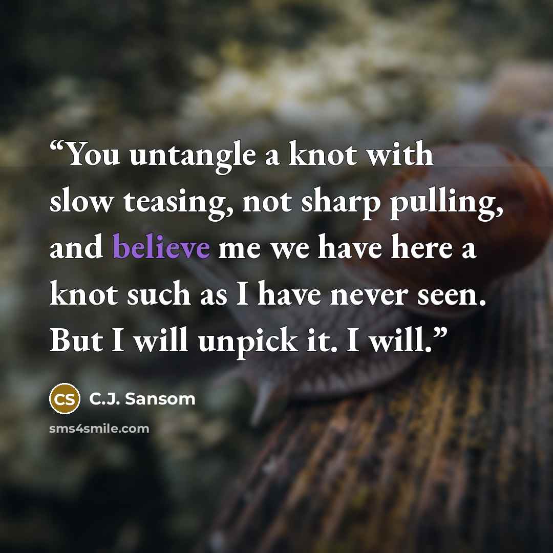 “You untangle a knot with slow teasing, not sharp pulling, and believe me we have here a knot such as I have never seen. But I will unpick it. I will.” quote by C.J. Sansom