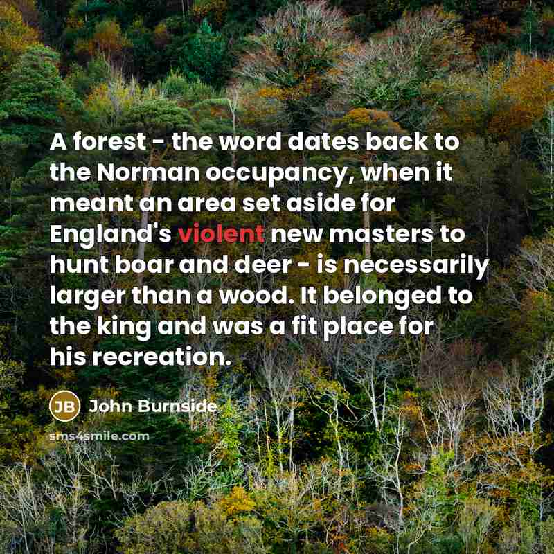 “A forest - the word dates back to the Norman occupancy, when it meant an area set aside for England's violent new masters to hunt boar and deer - is necessarily larger than a wood. It belonged to the king and was a fit place for his recreation.” quote by John Burnside