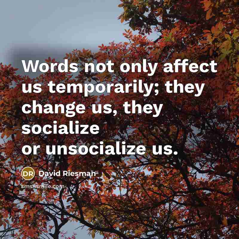 “Words not only affect us temporarily; they change us, they socialize or unsocialize us.” quote by David Riesman