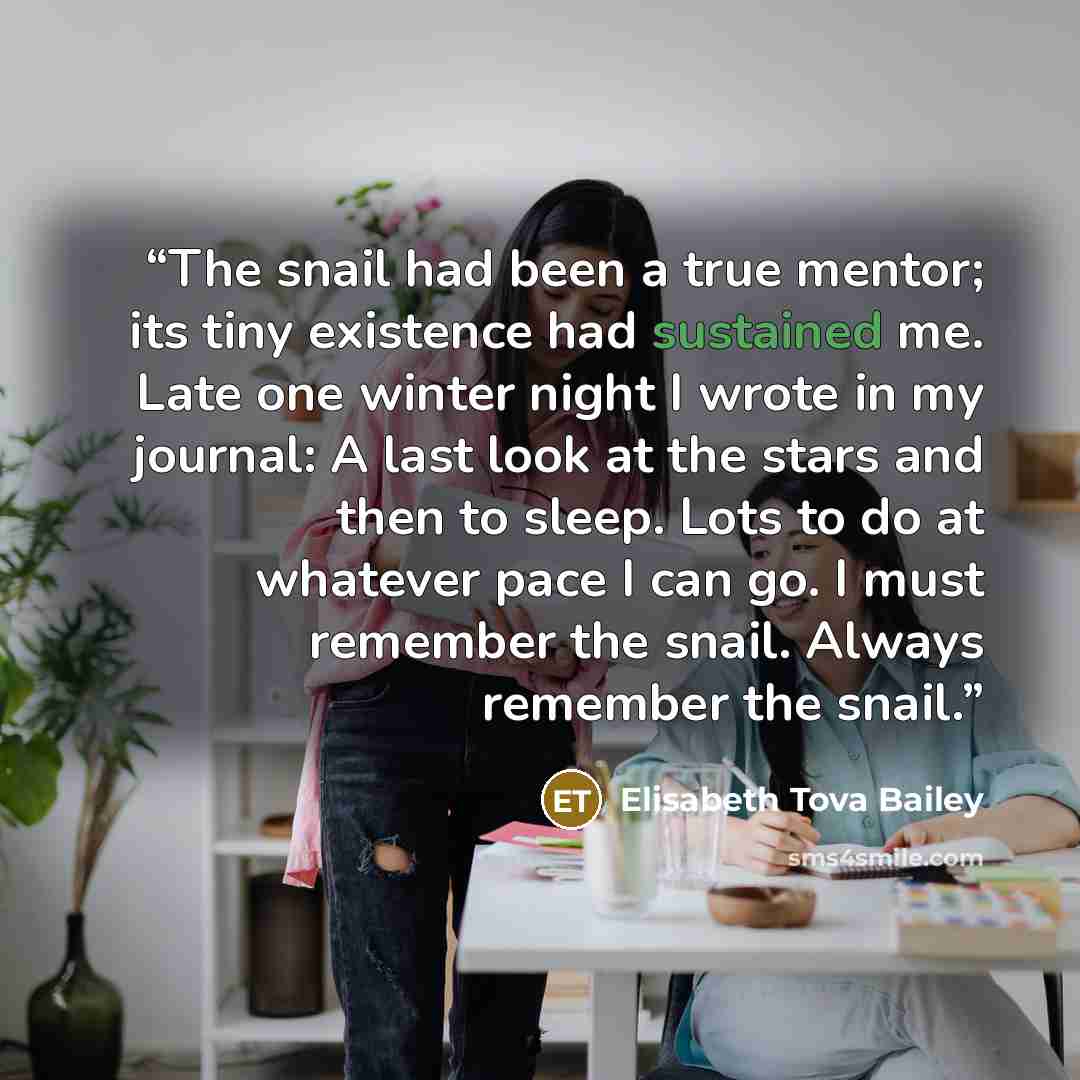 “The snail had been a true mentor; its tiny existence had sustained me. Late one winter night I wrote in my journal: A last look at the stars and then to sleep. Lots to do at whatever pace I can go. I must remember the snail. Always remember the snail.” quote by Elisabeth Tova Bailey