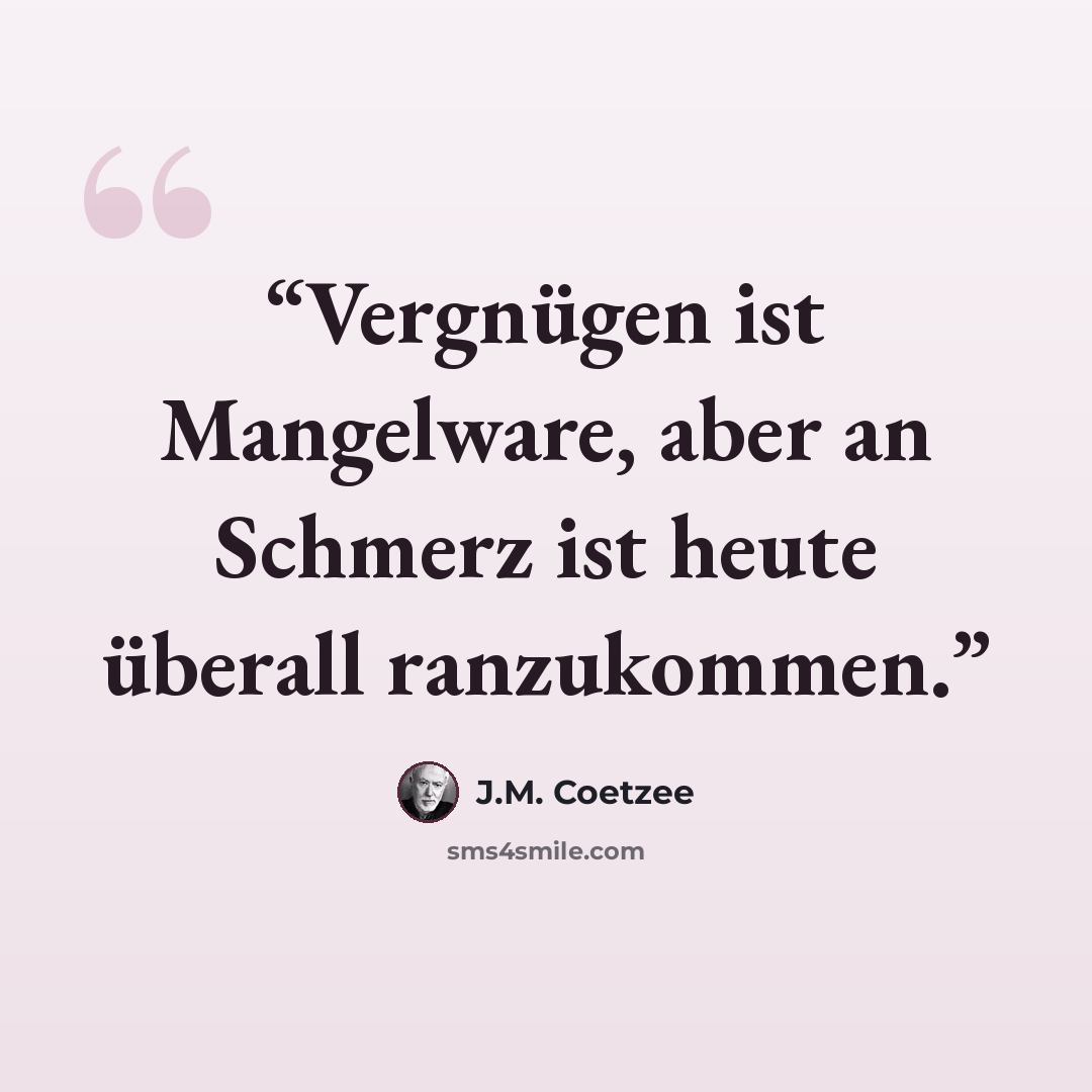 “Vergnügen ist Mangelware, aber an Schmerz ist heute überall ranzukommen.” quote by J.M. Coetzee