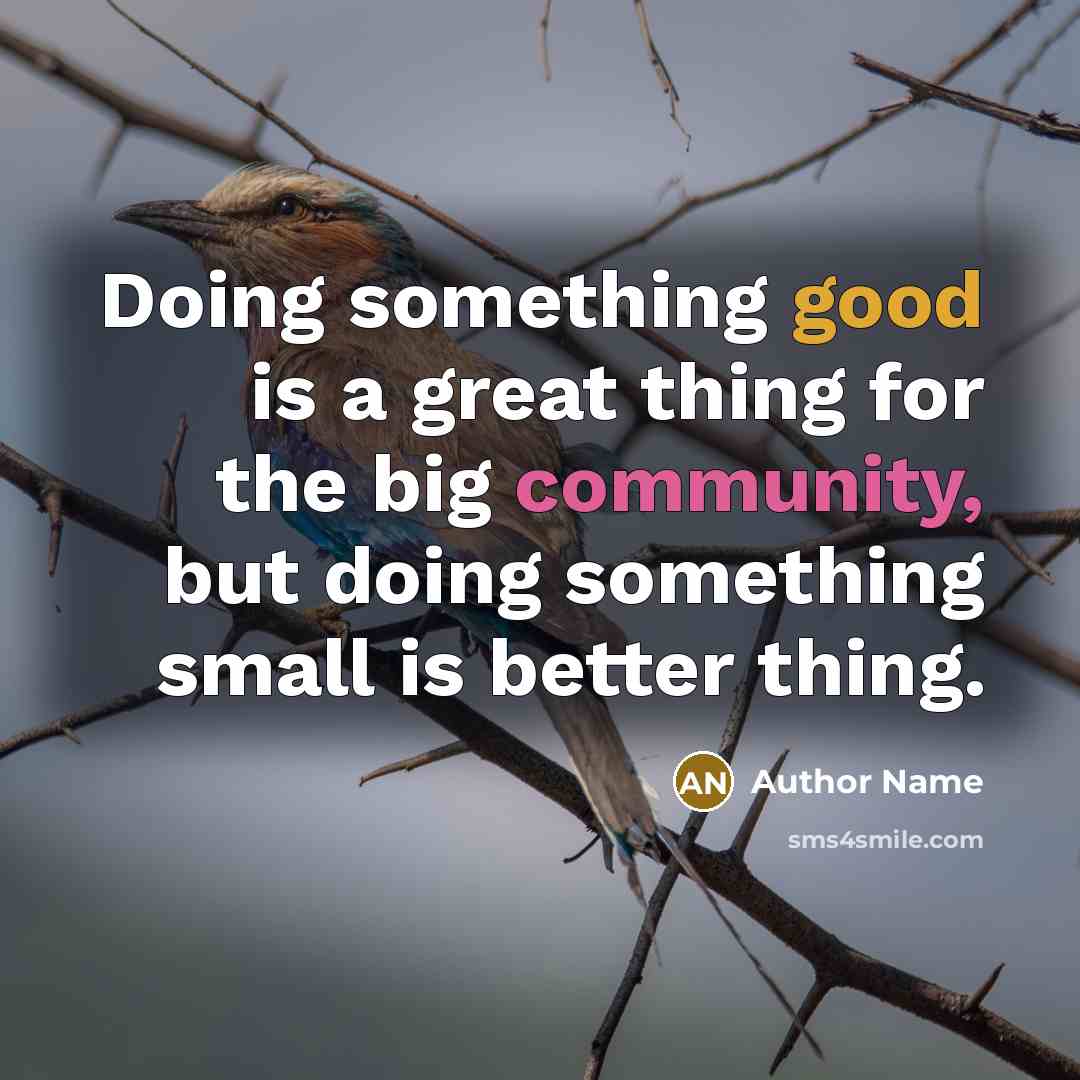 “Doing something good is a great thing for the big community, but doing something small is better thing.” quote by Author Name