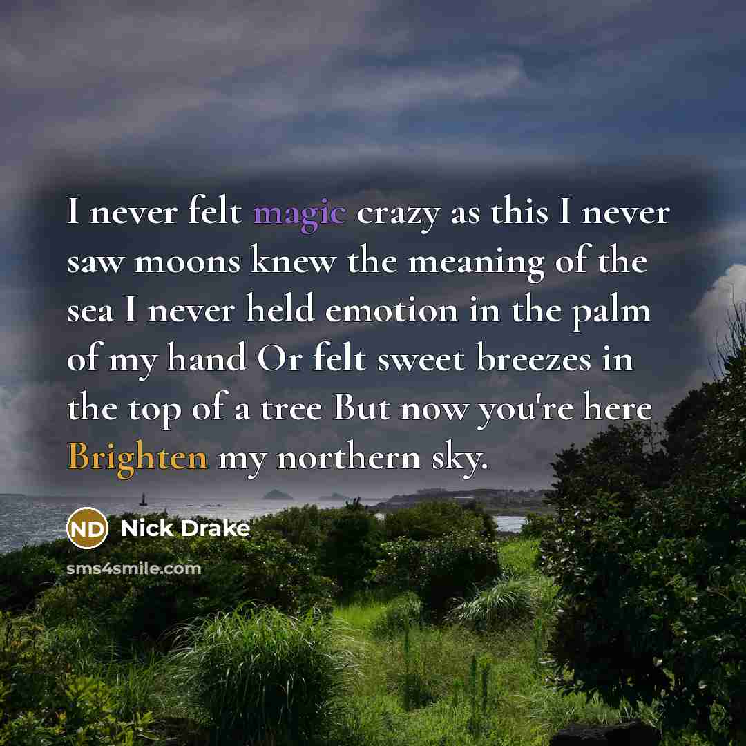 “I never felt magic crazy as this I never saw moons knew the meaning of the sea I never held emotion in the palm of my hand Or felt sweet breezes in the top of a tree But now you're here Brighten my northern sky.” quote by Nick Drake