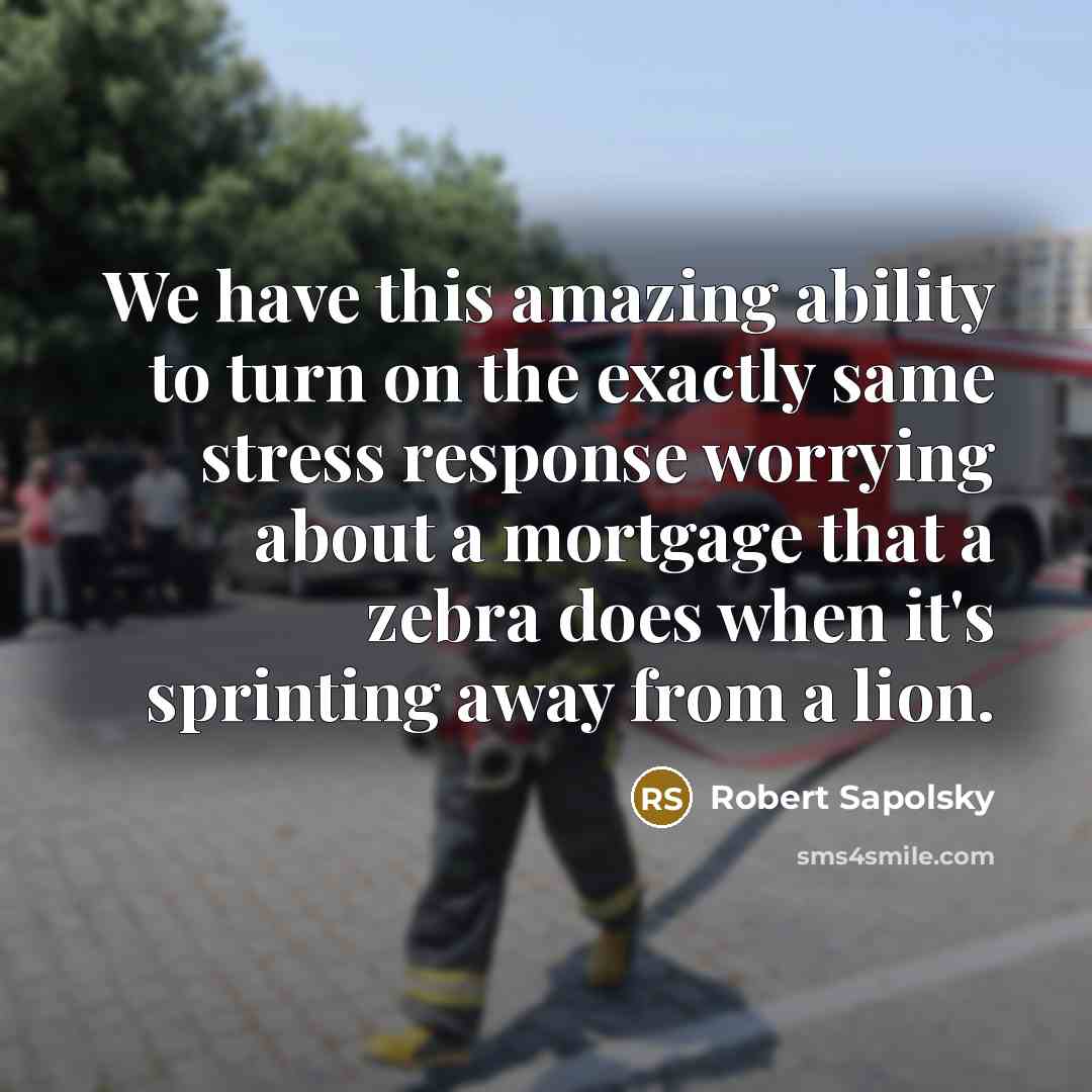 “We have this amazing ability to turn on the exactly same stress response worrying about a mortgage that a zebra does when it's sprinting away from a lion.” quote by Robert Sapolsky