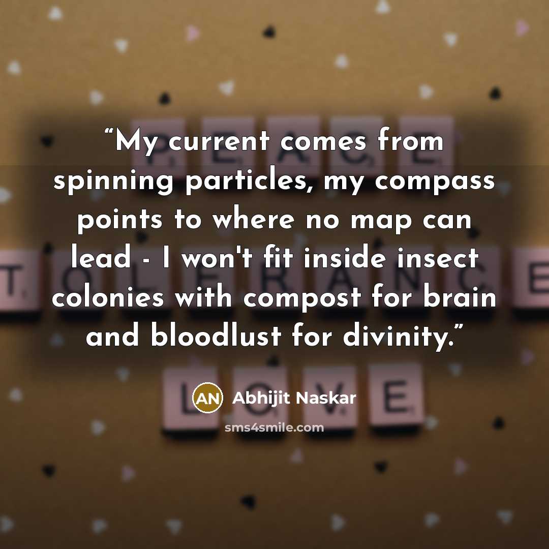 “My current comes from spinning particles, my compass points to where no map can lead - I won't fit inside insect colonies with compost for brain and bloodlust for divinity.” quote by Abhijit Naskar