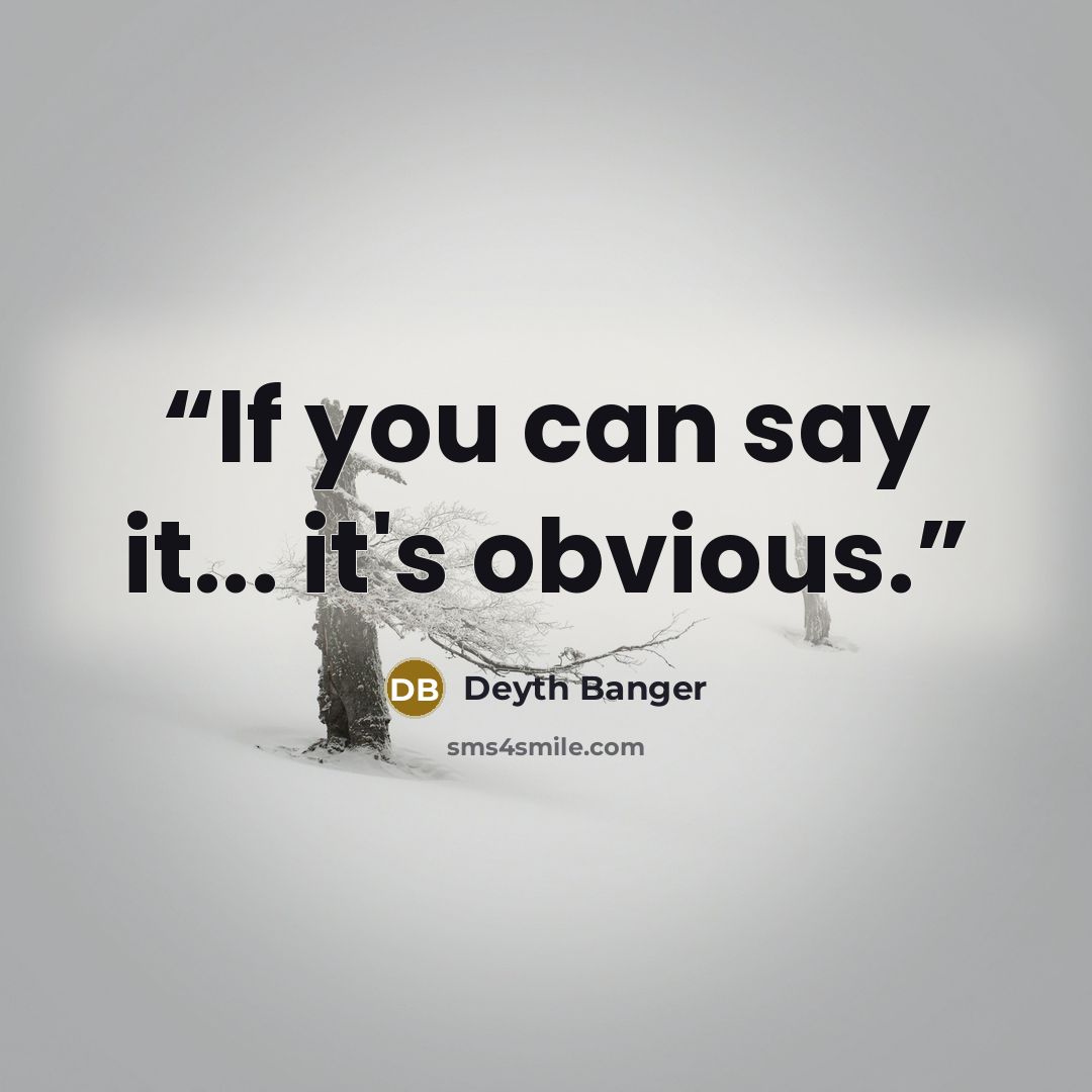 “If you can say it... it's obvious.” quote by Deyth Banger