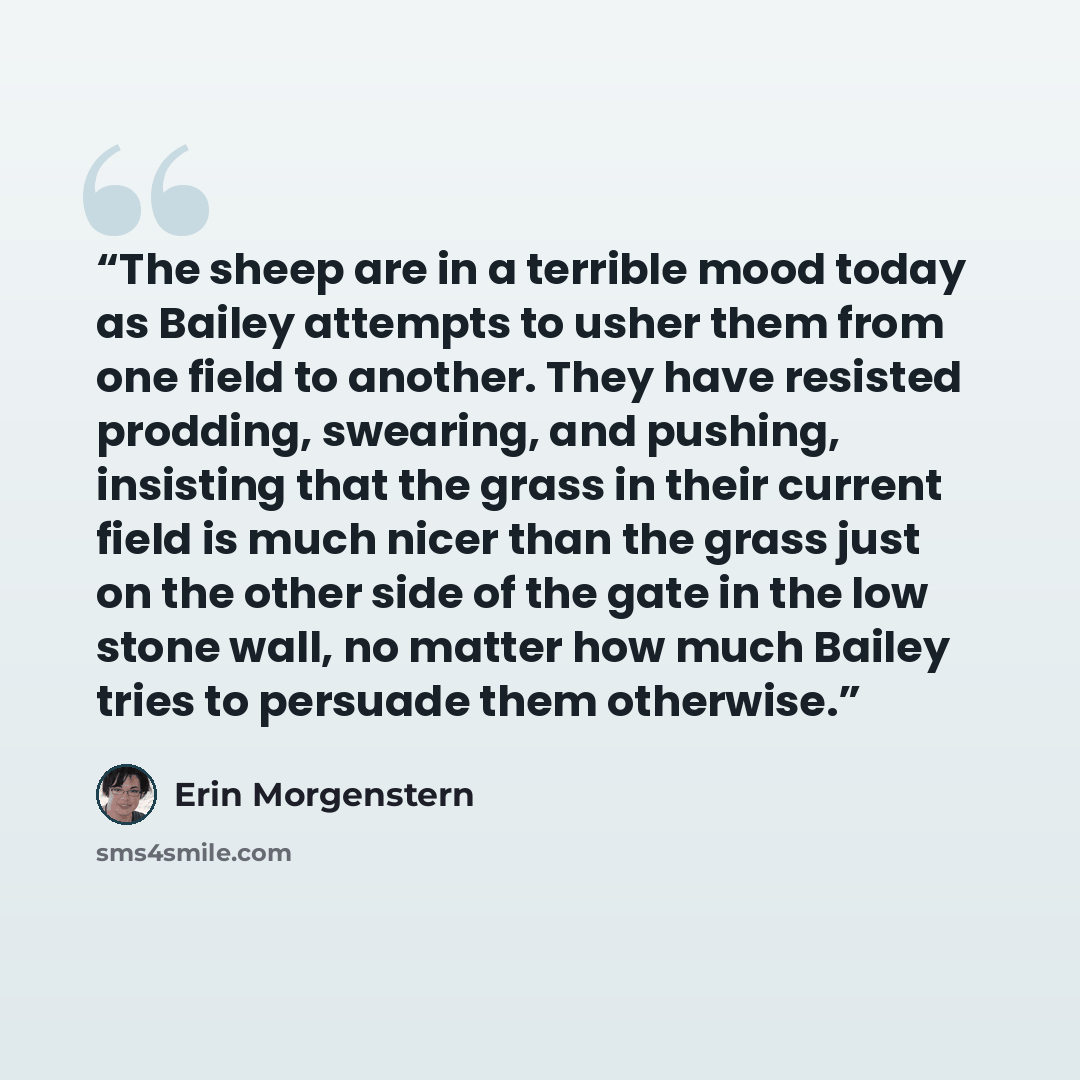 “The sheep are in a terrible mood today as Bailey attempts to usher them from one field to another. They have resisted prodding, swearing, and pushing, insisting that the grass in their current field is much nicer than the grass just on the other side of the gate in the low stone wall, no matter…” quote by Erin Morgenstern