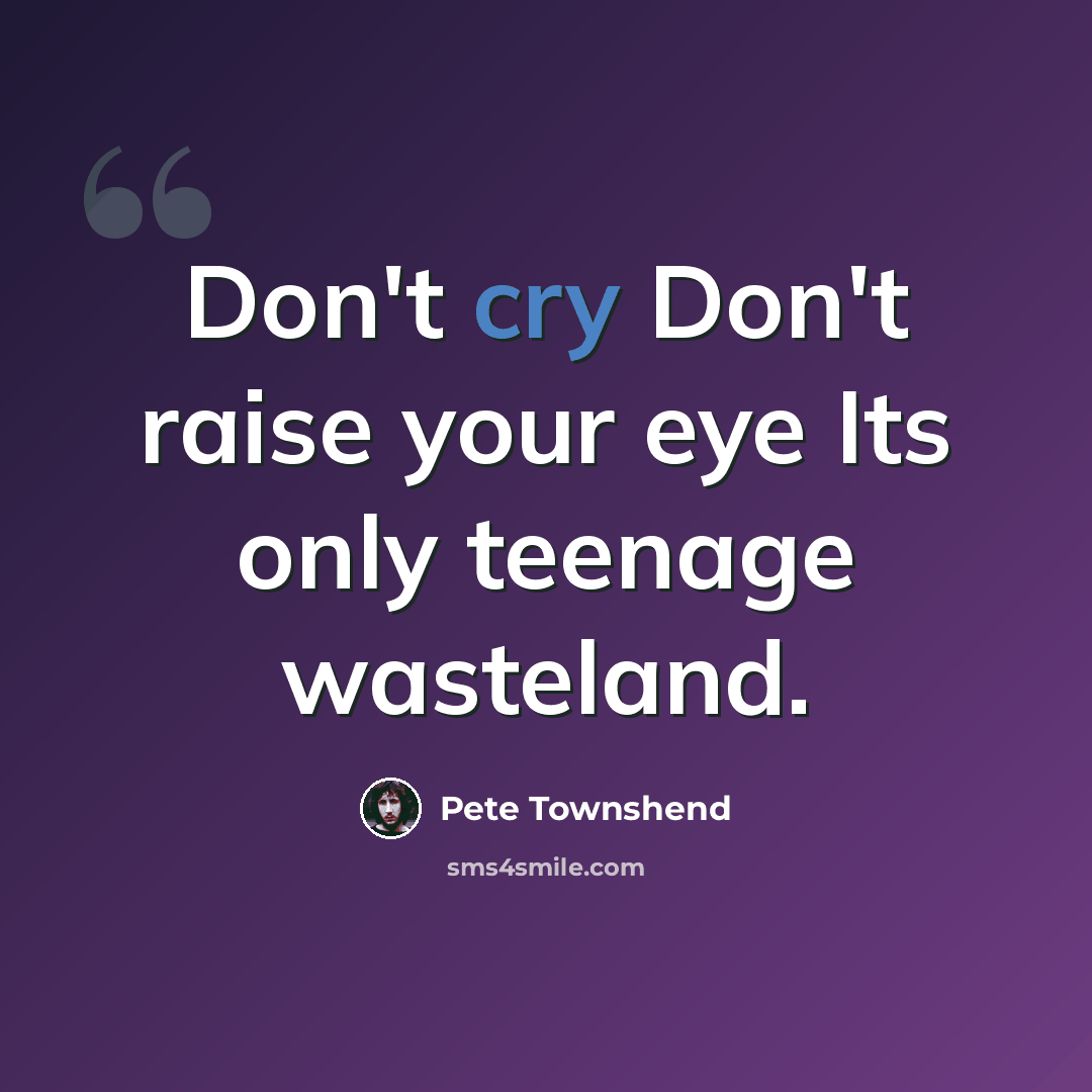 “Don't cry Don't raise your eye Its only teenage wasteland.” quote by Pete Townshend