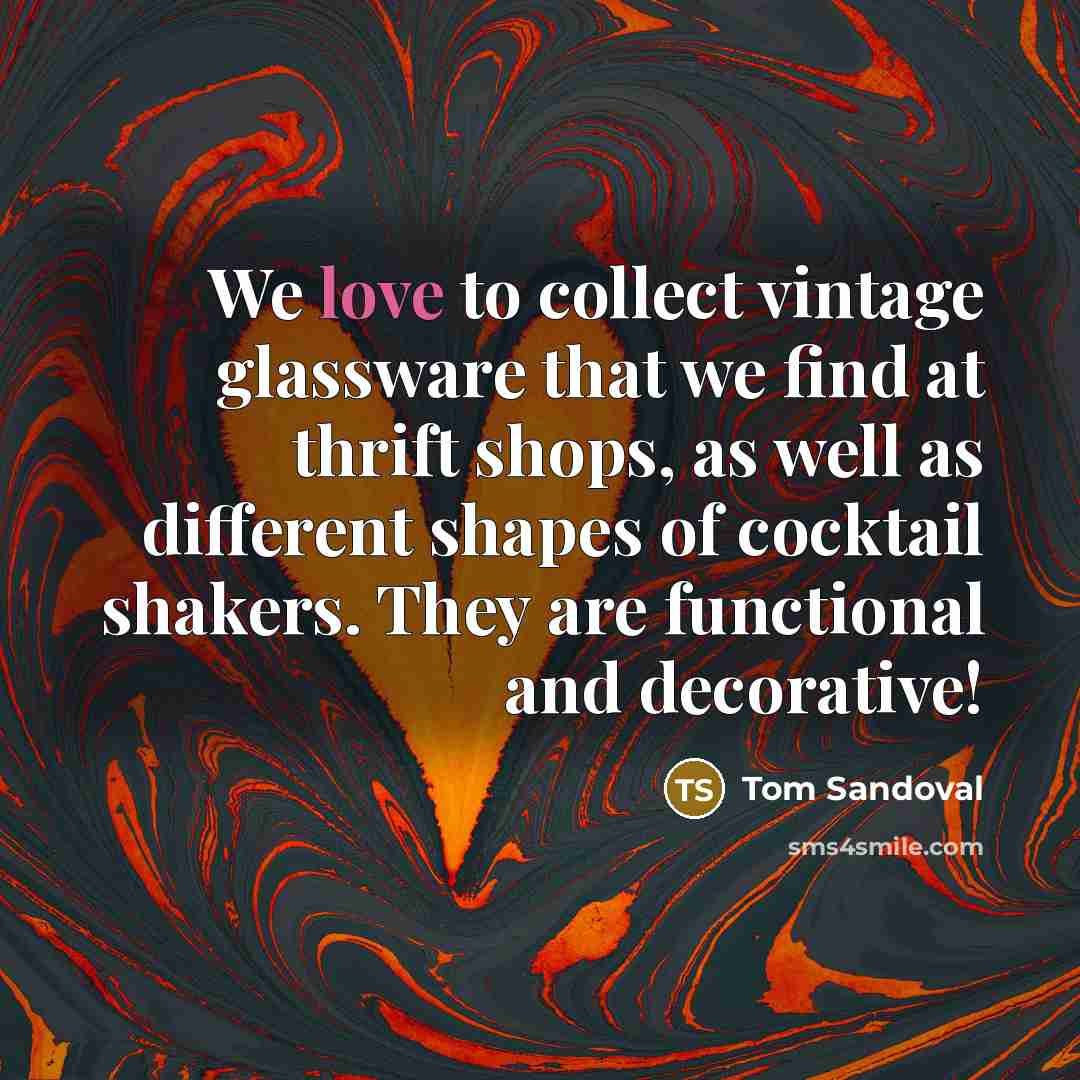 “We love to collect vintage glassware that we find at thrift shops, as well as different shapes of cocktail shakers. They are functional and decorative!” quote by Tom Sandoval