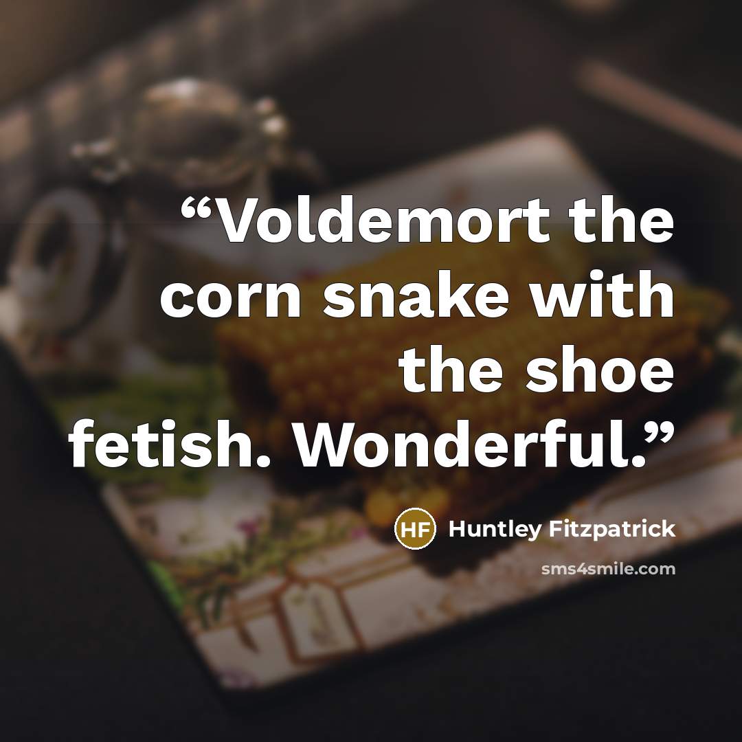 “Voldemort the corn snake with the shoe fetish. Wonderful.” quote by Huntley Fitzpatrick
