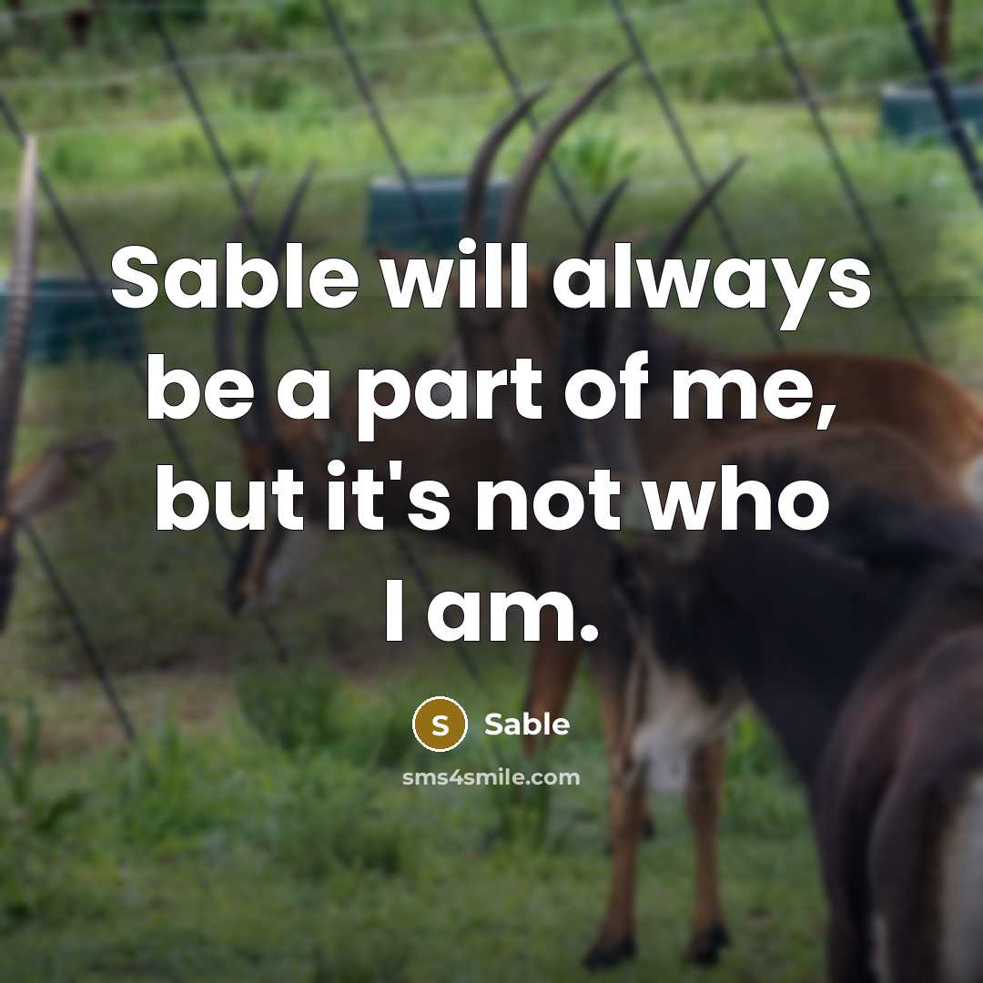 “Sable will always be a part of me, but it's not who I am.” quote by Sable