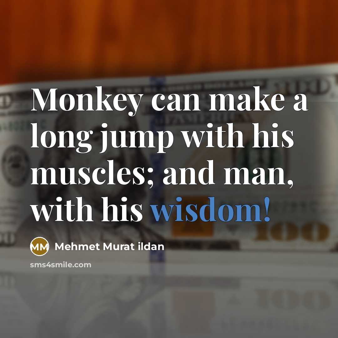 “Monkey can make a long jump with his muscles; and man, with his wisdom!” quote by Mehmet Murat Ildan