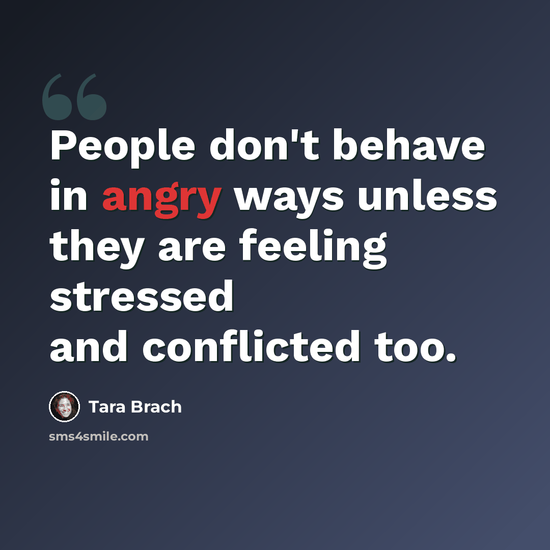 “People don't behave in angry ways unless they are feeling stressed and conflicted too.” quote by Tara Brach